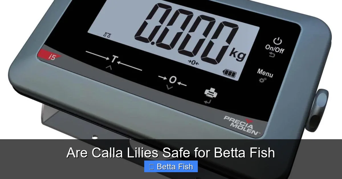 Are Calla Lilies Safe for Betta Fish