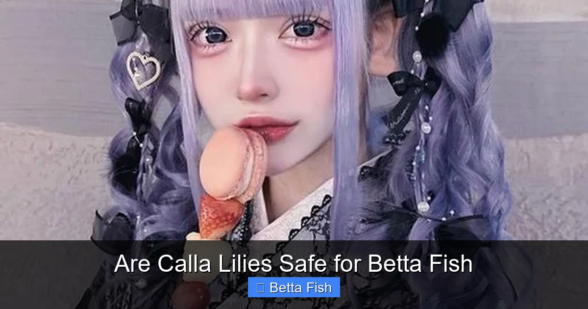 Are Calla Lilies Safe for Betta Fish