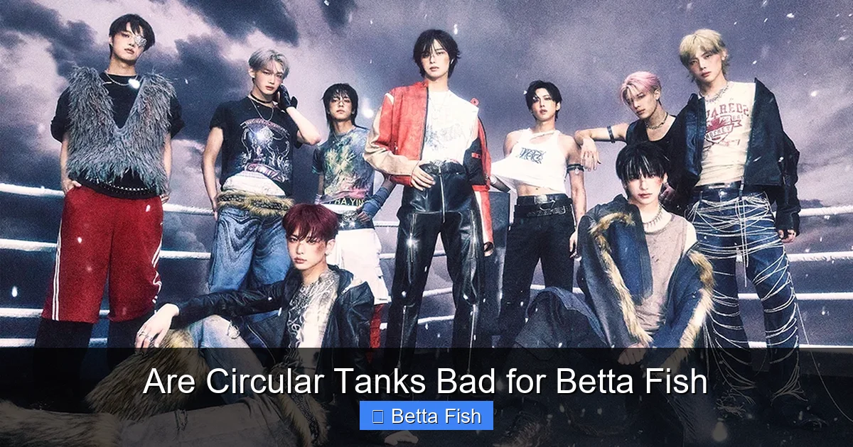 Are Circular Tanks Bad for Betta Fish