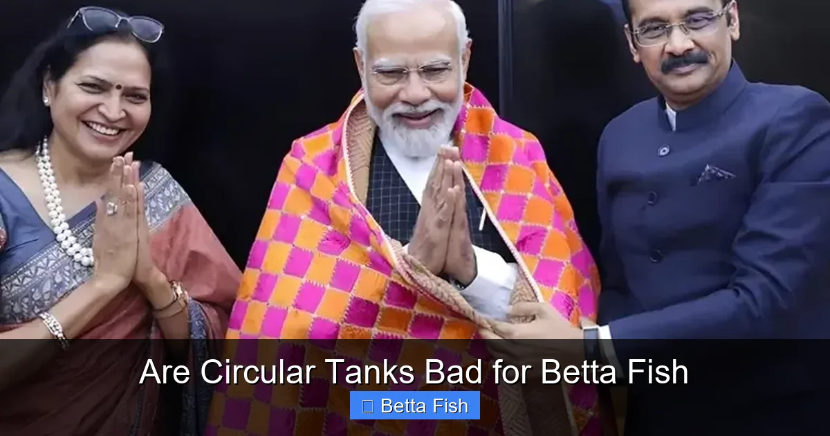 Are Circular Tanks Bad for Betta Fish