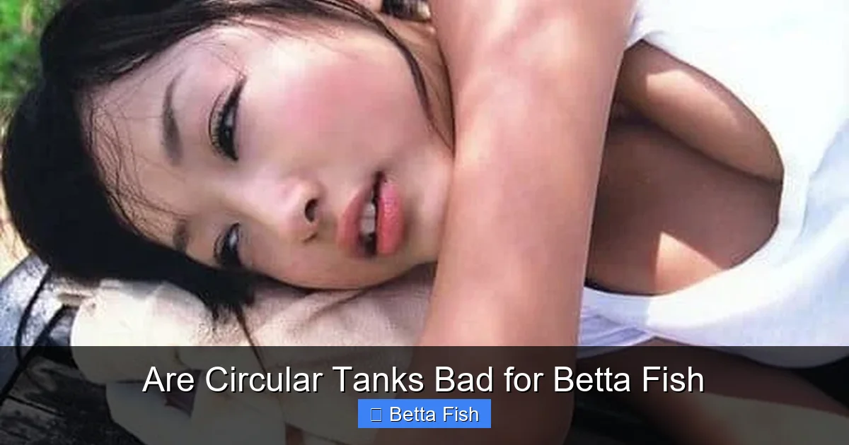 Are Circular Tanks Bad for Betta Fish