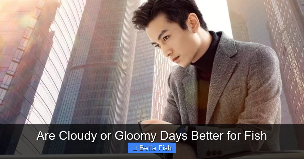 Are Cloudy or Gloomy Days Better for Fish