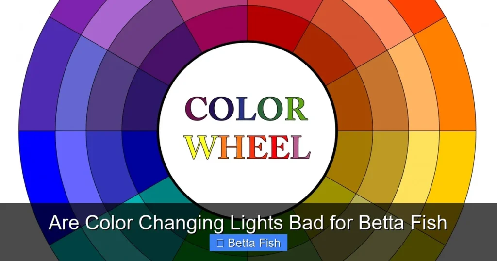 Are Color Changing Lights Bad for Betta Fish