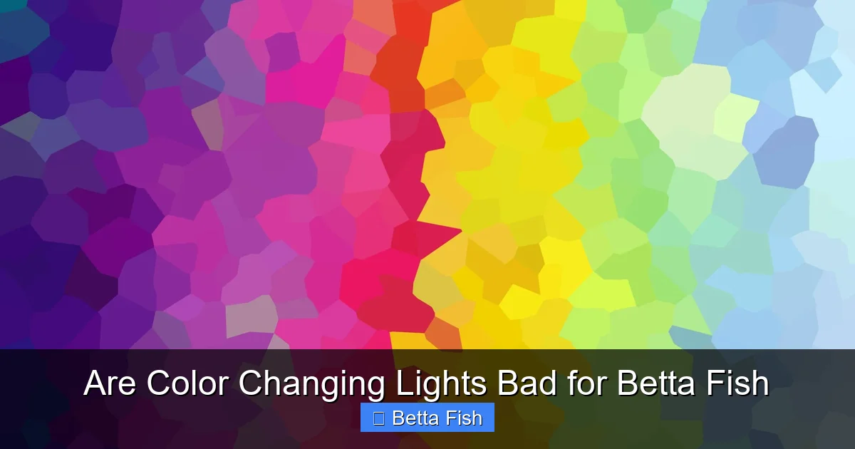 Are Color Changing Lights Bad for Betta Fish
