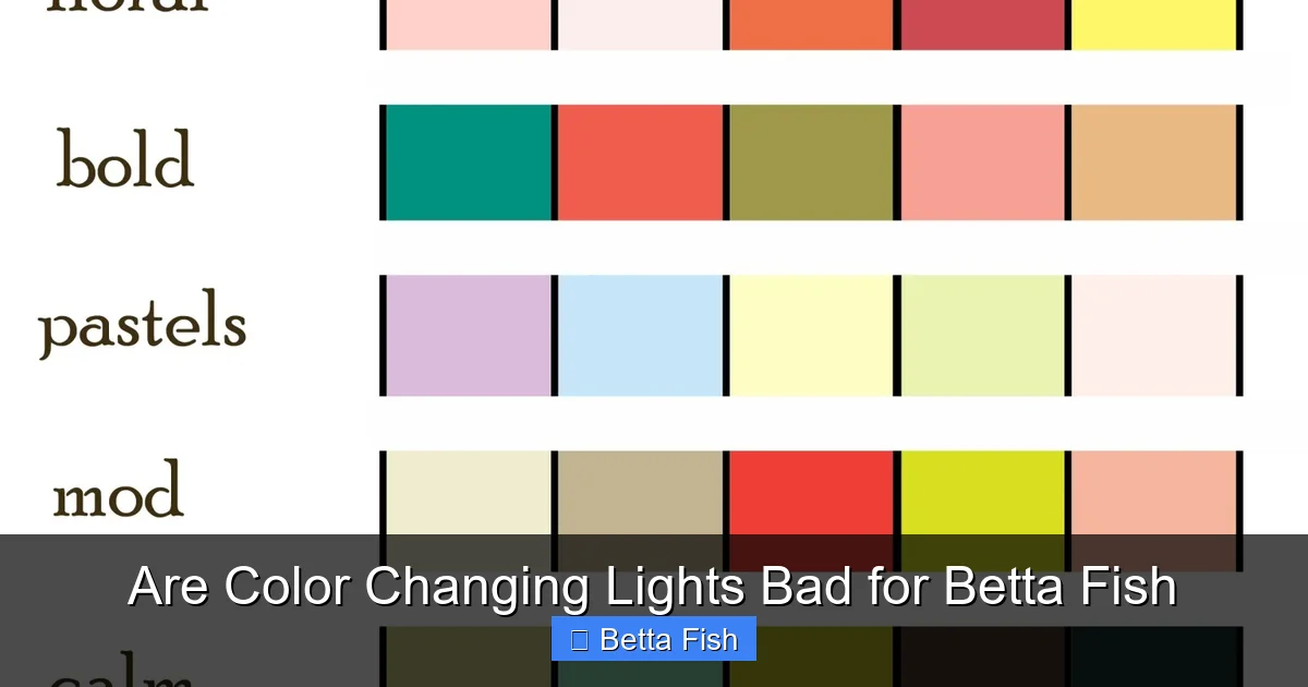 Are Color Changing Lights Bad for Betta Fish
