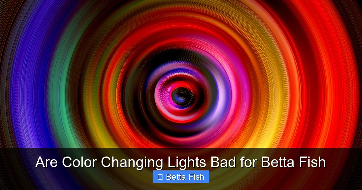 Are Color Changing Lights Bad for Betta Fish
