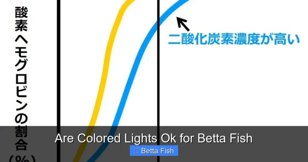 Are Colored Lights Ok for Betta Fish