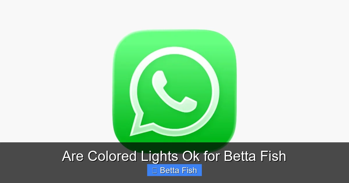 Are Colored Lights Ok for Betta Fish