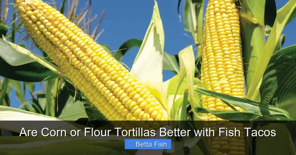 Are Corn or Flour Tortillas Better with Fish Tacos