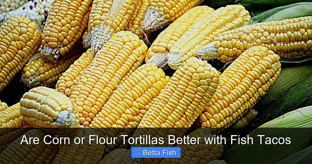 Are Corn or Flour Tortillas Better with Fish Tacos