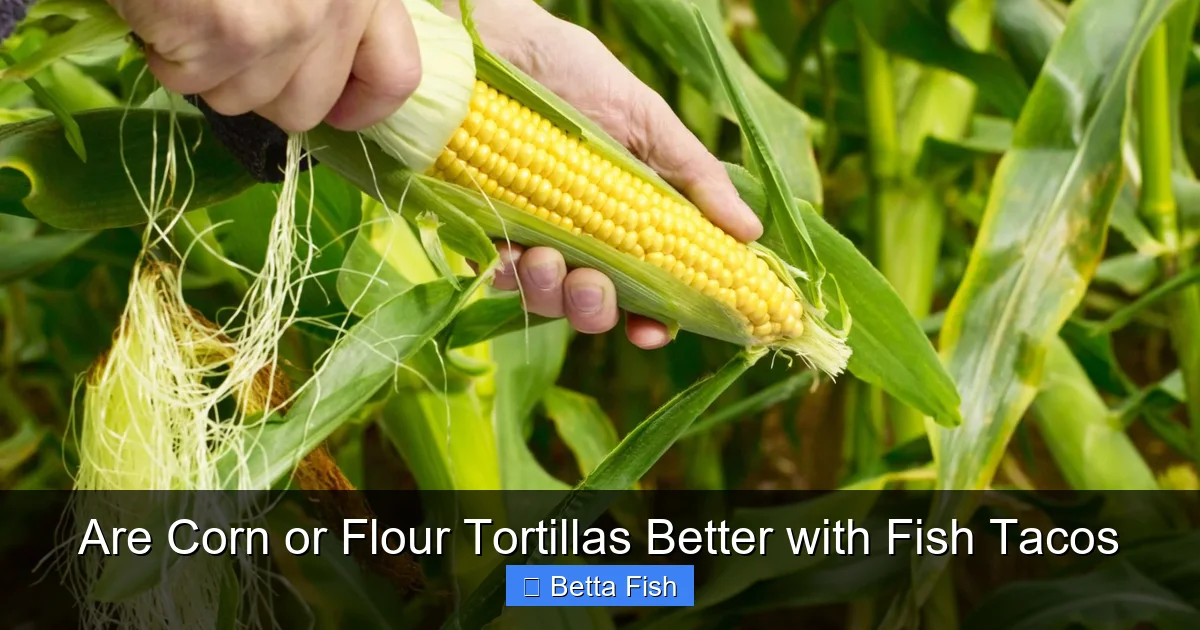 Are Corn or Flour Tortillas Better with Fish Tacos