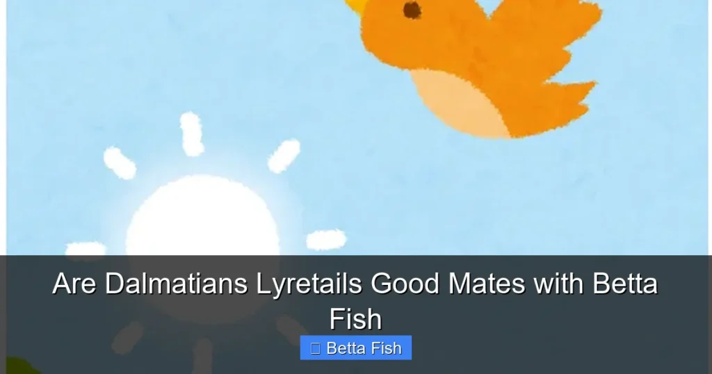 Are Dalmatians Lyretails Good Mates with Betta Fish
