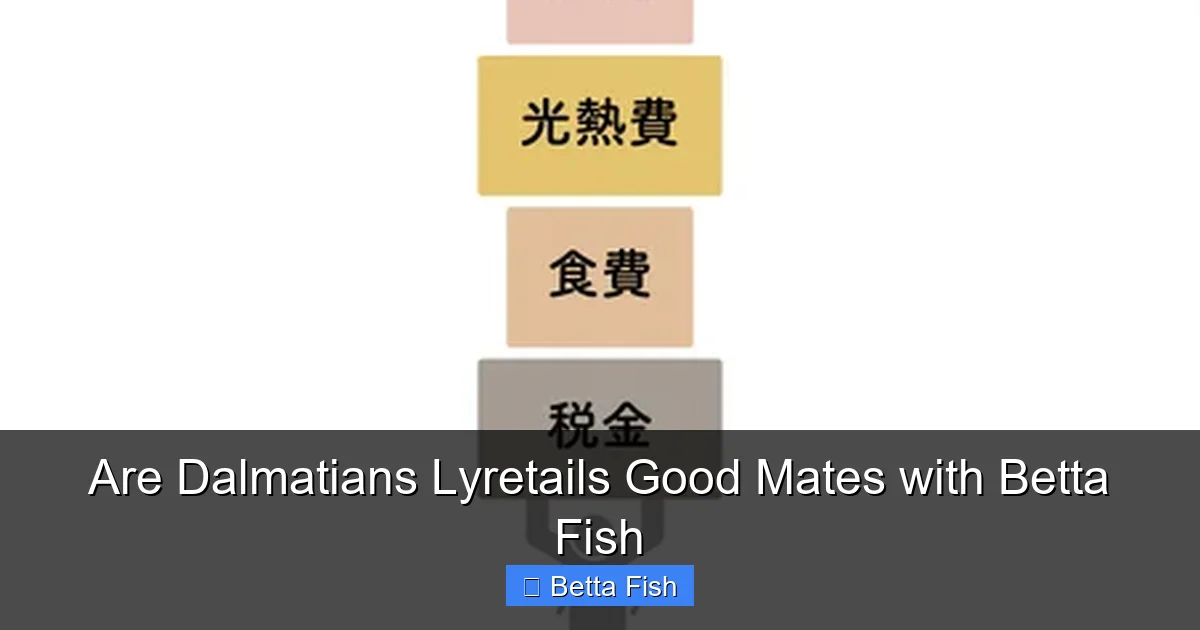 Are Dalmatians Lyretails Good Mates with Betta Fish