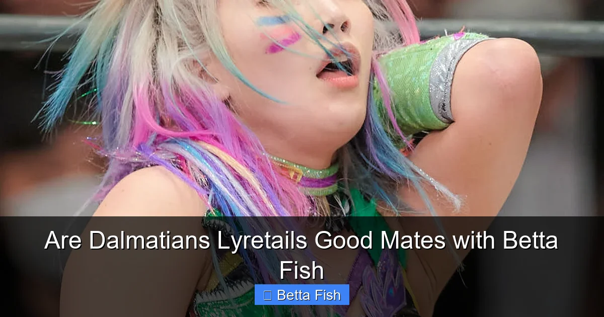 Are Dalmatians Lyretails Good Mates with Betta Fish