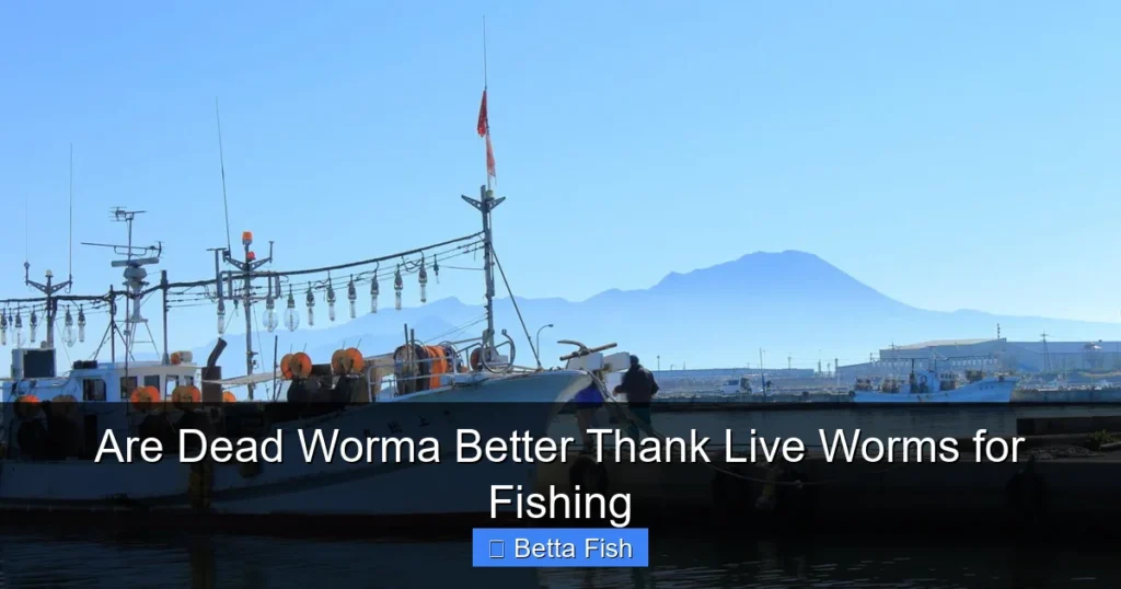 Are Dead Worma Better Thank Live Worms for Fishing