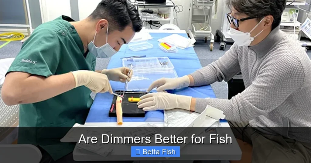 Are Dimmers Better for Fish