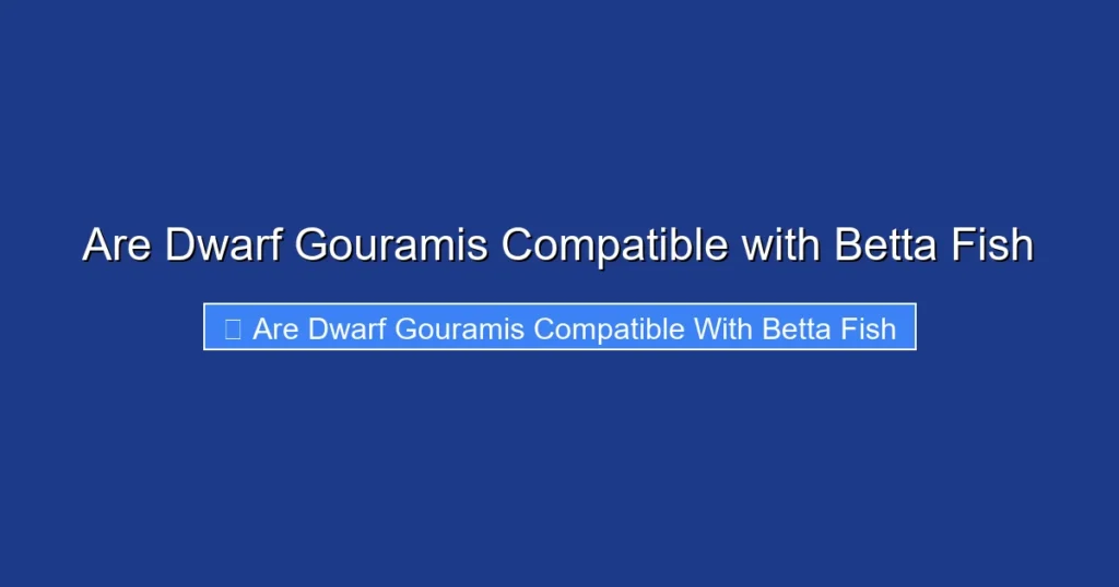 Are Dwarf Gouramis Compatible with Betta Fish