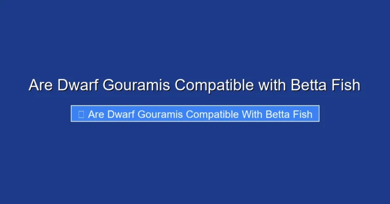 Are Dwarf Gouramis Compatible with Betta Fish