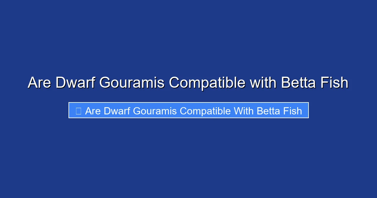 Are Dwarf Gouramis Compatible with Betta Fish