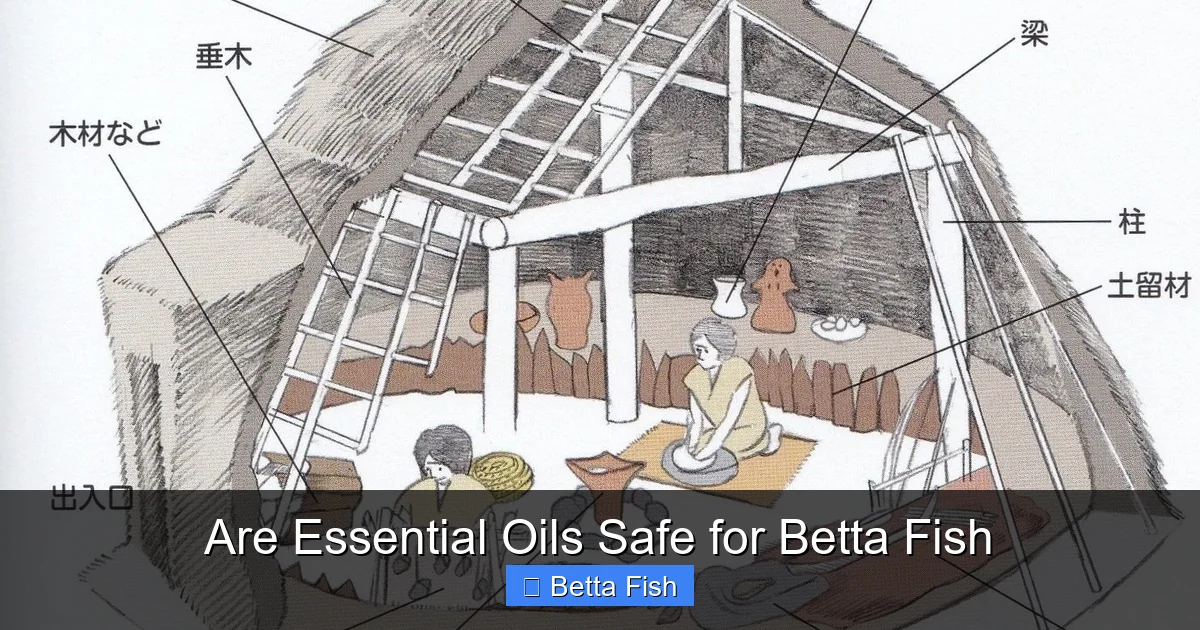 Are Essential Oils Safe for Betta Fish