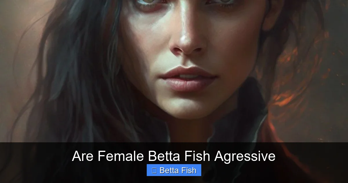 Are Female Betta Fish Agressive