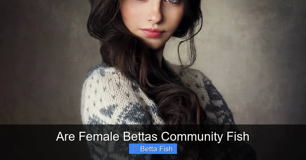 Are Female Bettas Community Fish