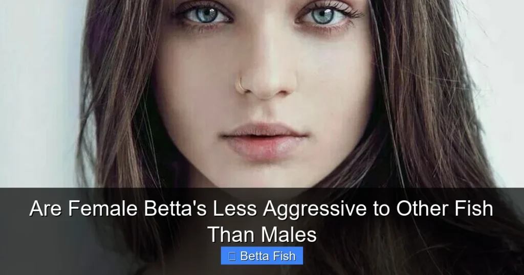 Are Female Betta's Less Aggressive to Other Fish Than Males