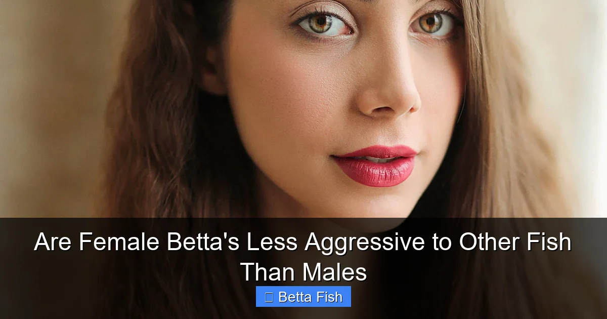 Are Female Betta's Less Aggressive to Other Fish Than Males