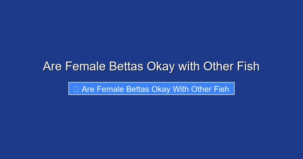 Are Female Bettas Okay with Other Fish