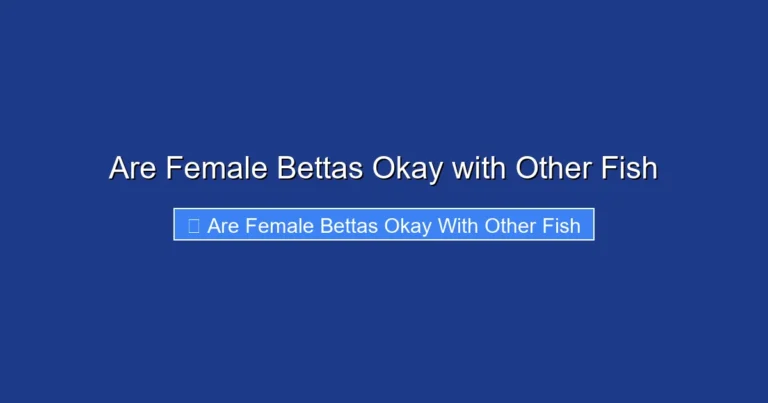 Are Female Bettas Okay with Other Fish