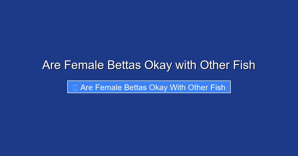 Are Female Bettas Okay with Other Fish