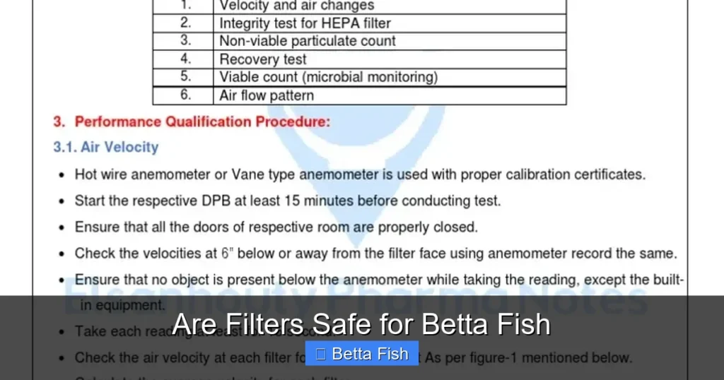 Are Filters Safe for Betta Fish