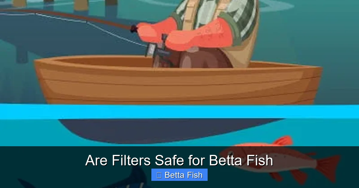 Are Filters Safe for Betta Fish