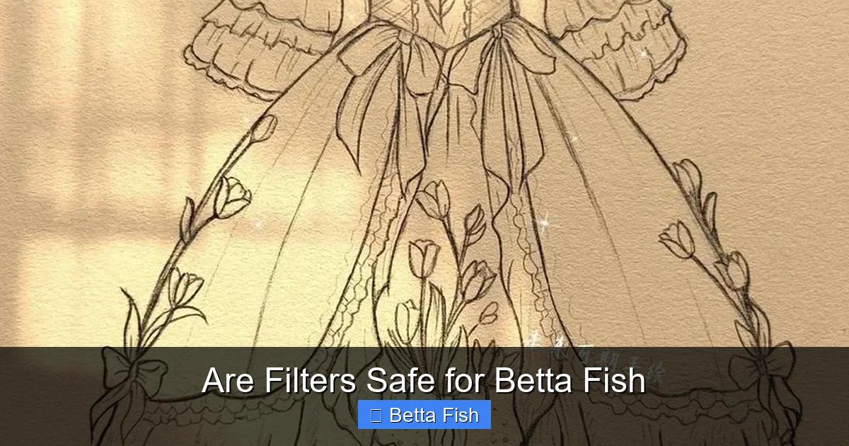 Are Filters Safe for Betta Fish