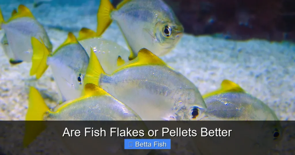 Are Fish Flakes or Pellets Better