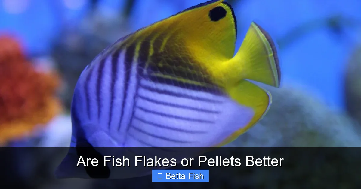 Are Fish Flakes or Pellets Better