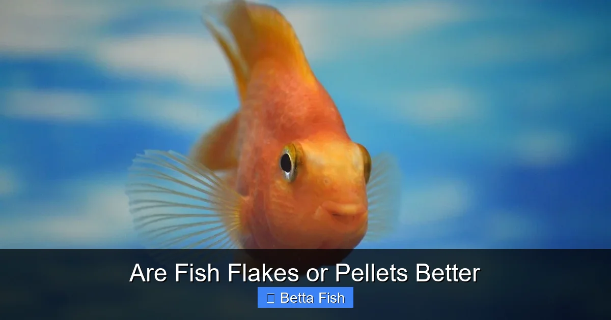 Are Fish Flakes or Pellets Better