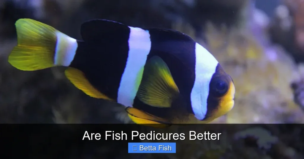 Are Fish Pedicures Better