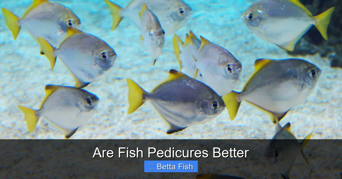 Are Fish Pedicures Better