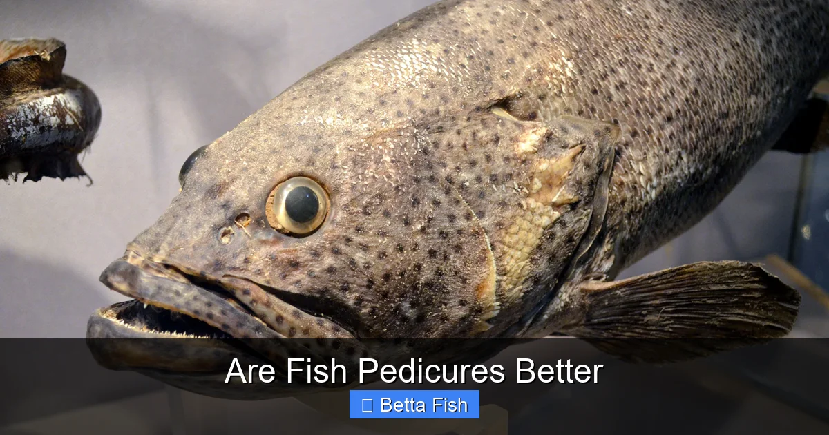 Are Fish Pedicures Better