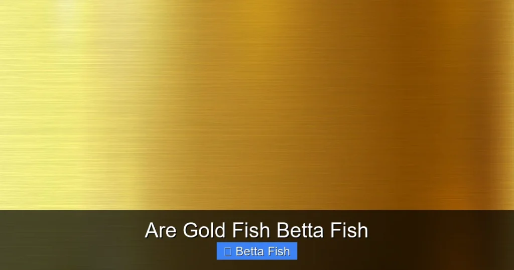 Are Gold Fish Betta Fish