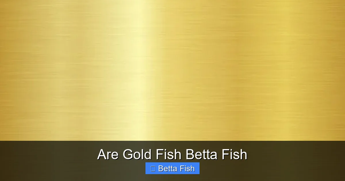 Are Gold Fish Betta Fish