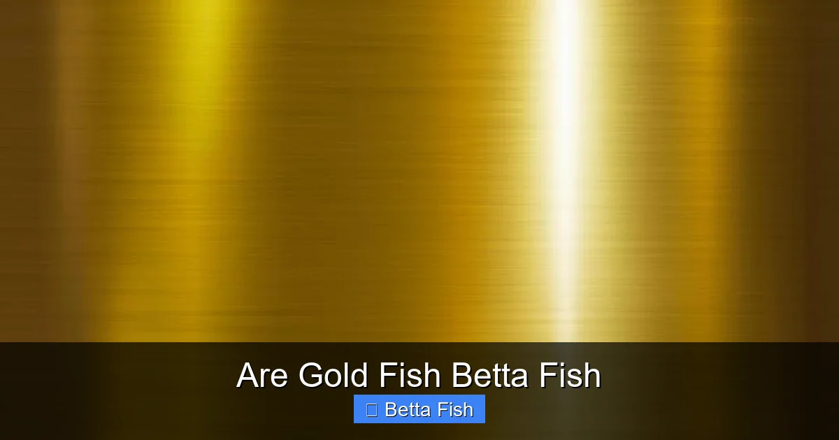 Are Gold Fish Betta Fish