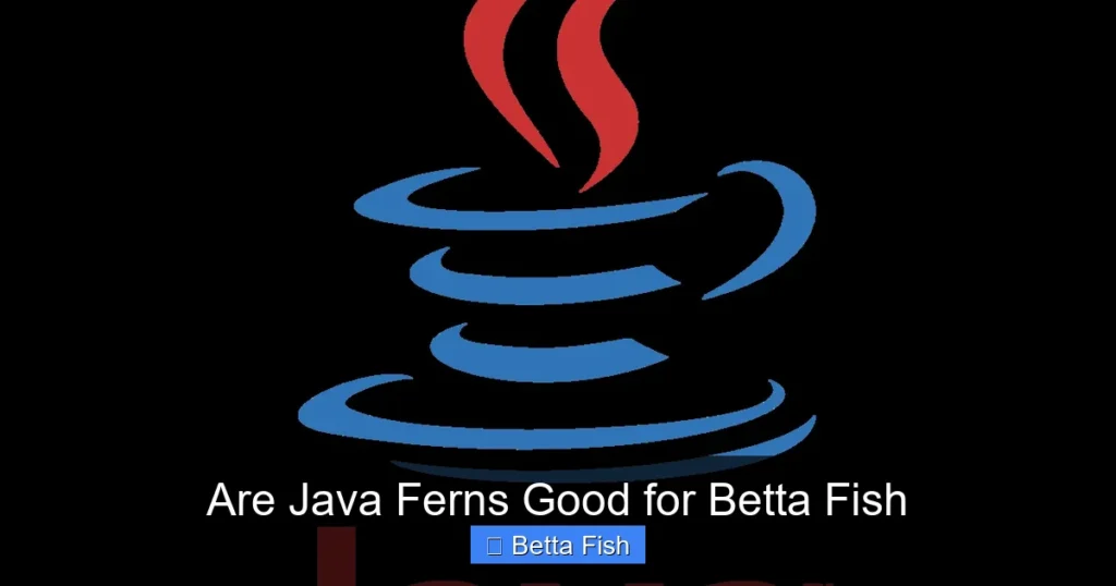 Are Java Ferns Good for Betta Fish