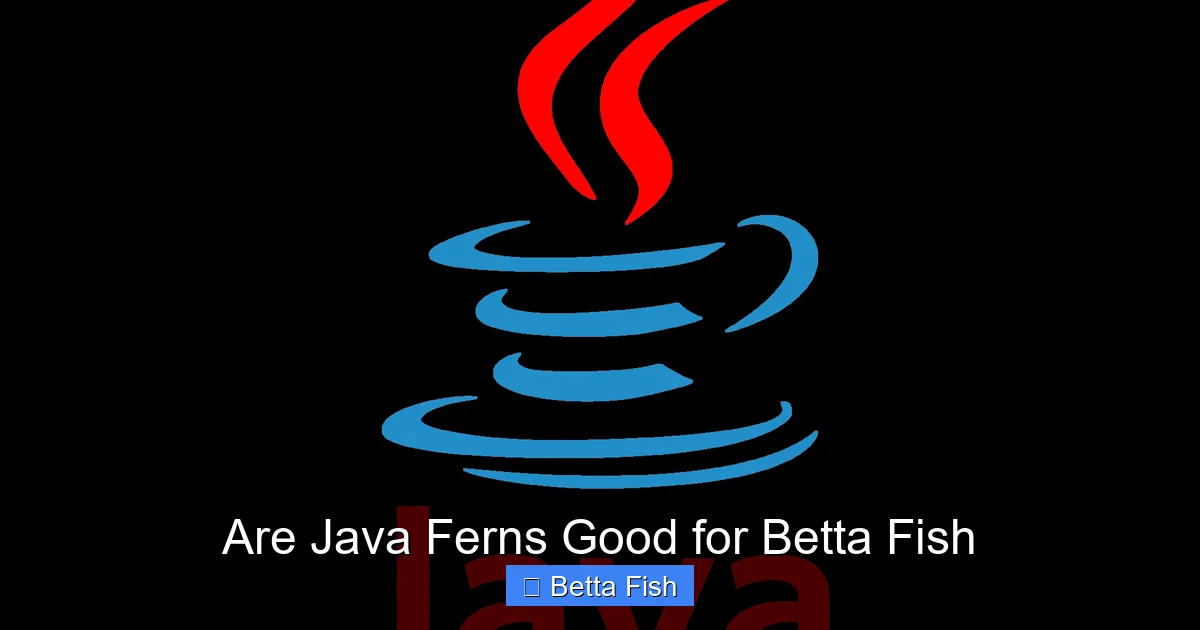 Are Java Ferns Good for Betta Fish