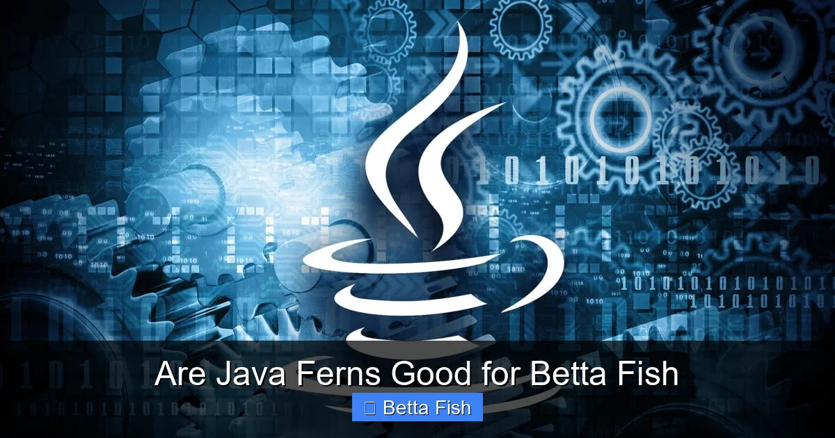 Are Java Ferns Good for Betta Fish