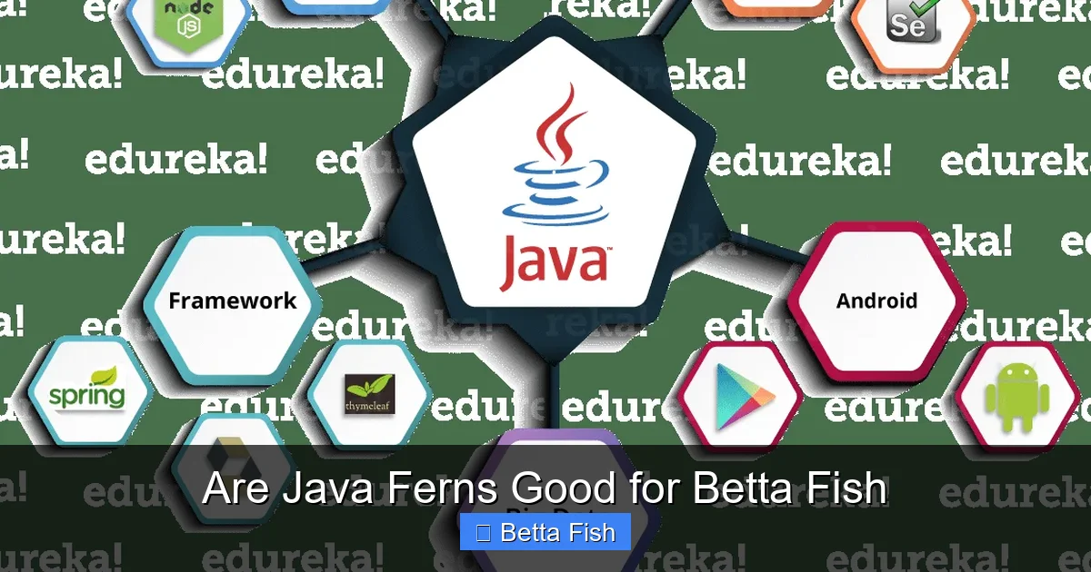 Are Java Ferns Good for Betta Fish