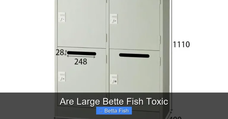 Are Large Bette Fish Toxic