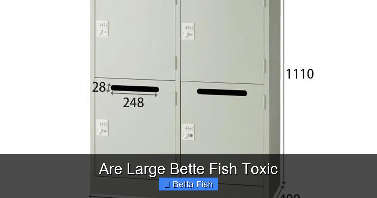 Are Large Bette Fish Toxic