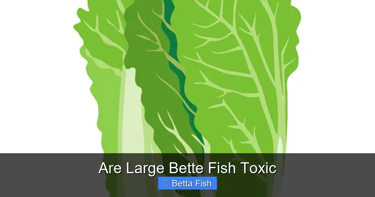 Are Large Bette Fish Toxic
